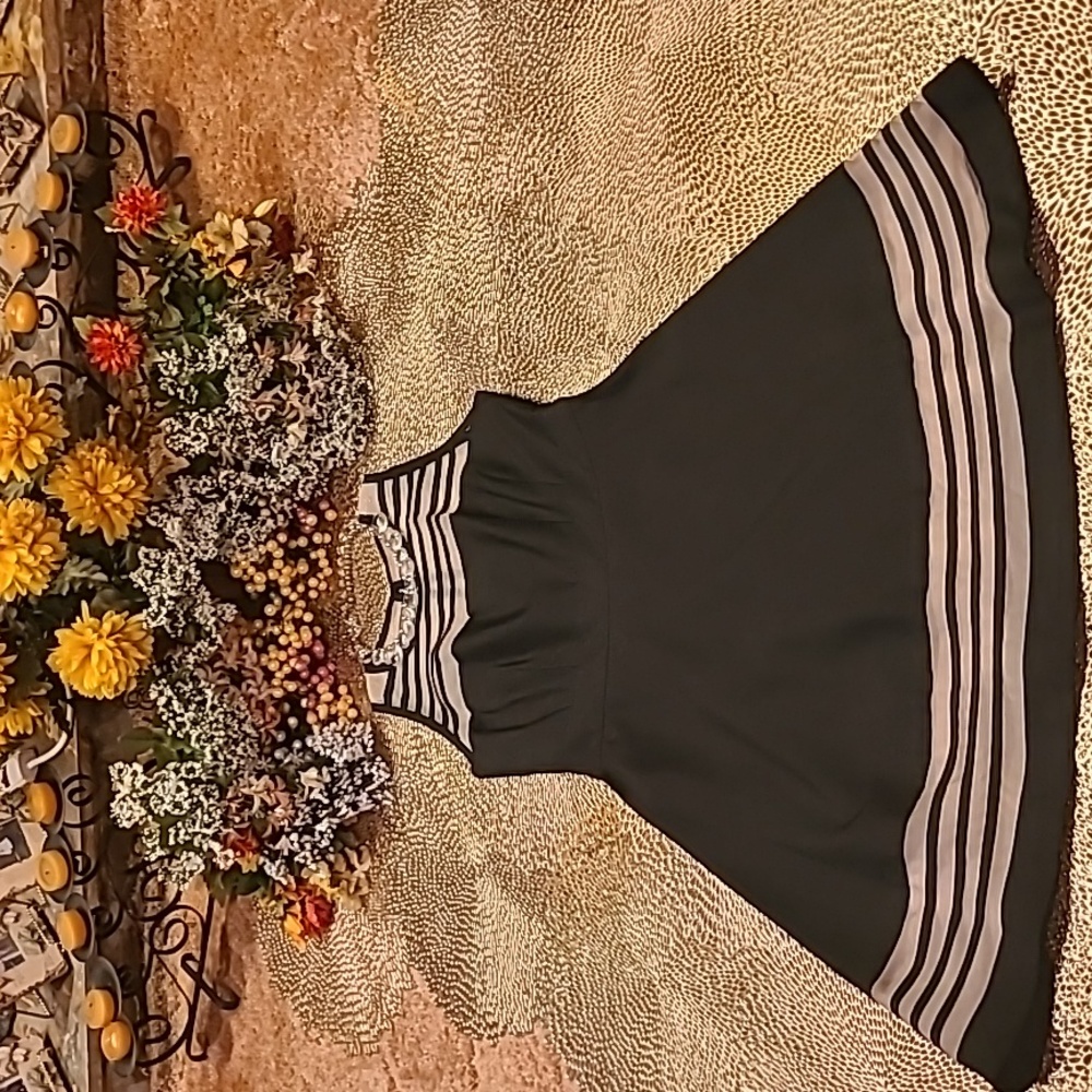 Just Taylor Fit & Flare Quasi Sheer Silk Little Black Dress Size 10